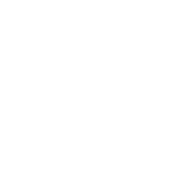 logo-synergy-blanco